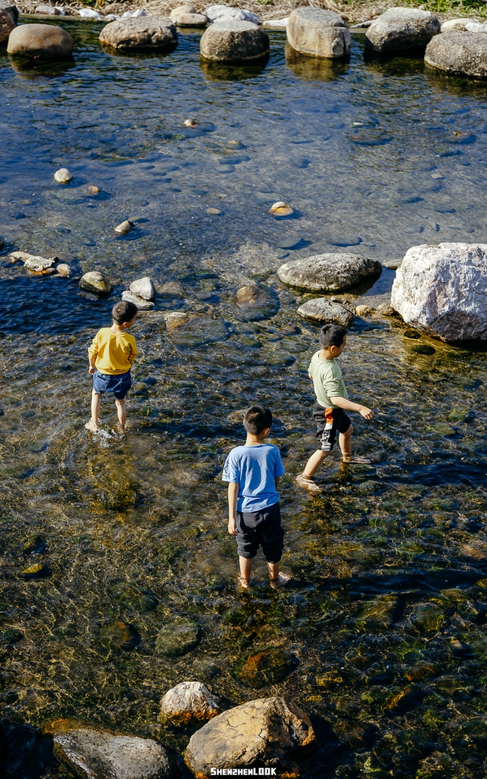 坪山河湿地公园——宫崎骏的夏天，深圳真有啊！ - 7