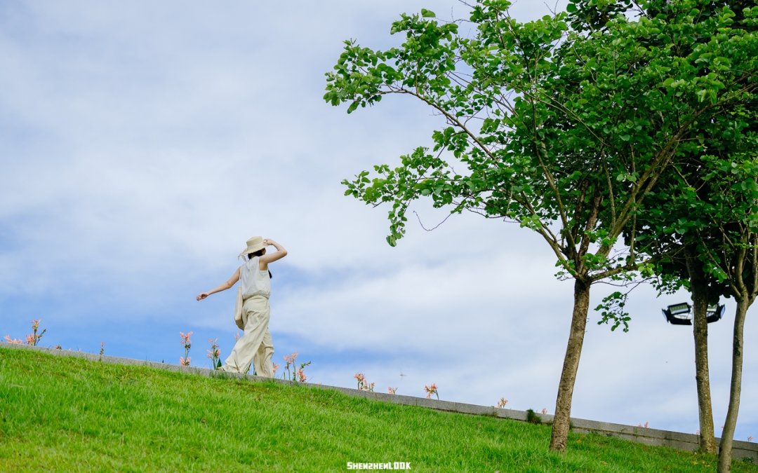 坪山河湿地公园——宫崎骏的夏天，深圳真有啊！ - 26