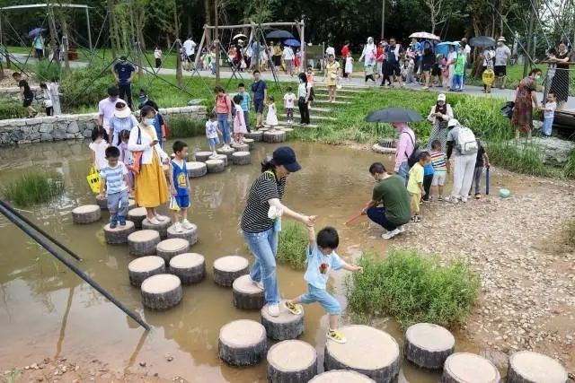 “关键一招”的深圳坪山实践 - 7