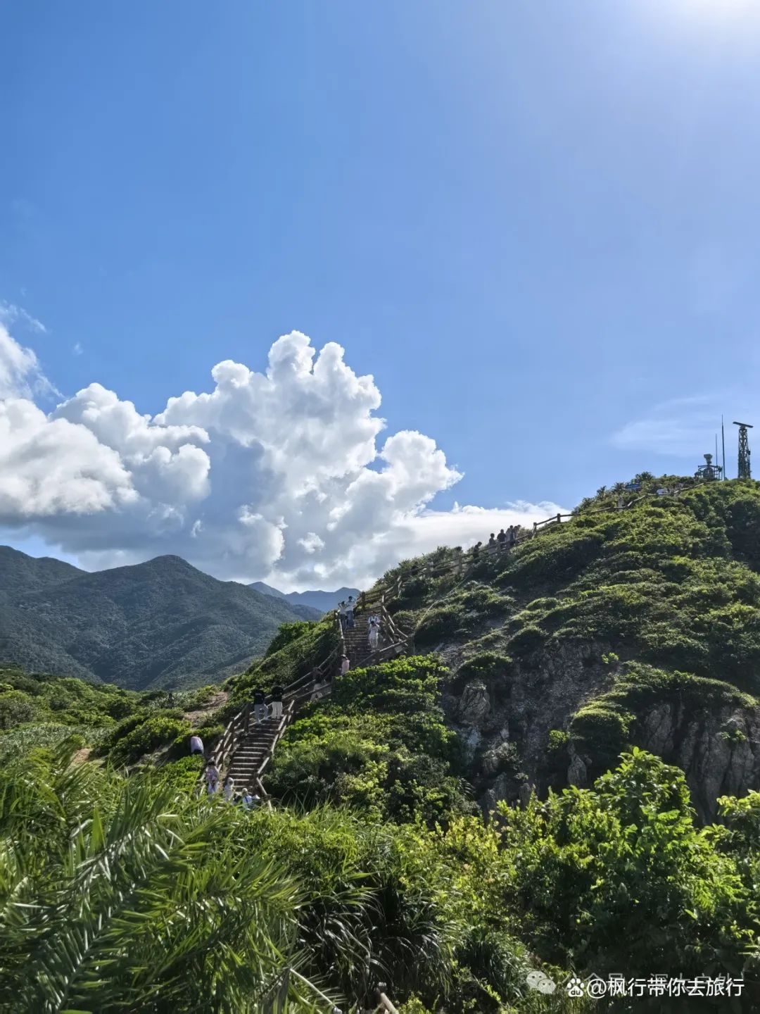 深圳坪山一日游，惊艳了时光，温柔了岁月！ - 2