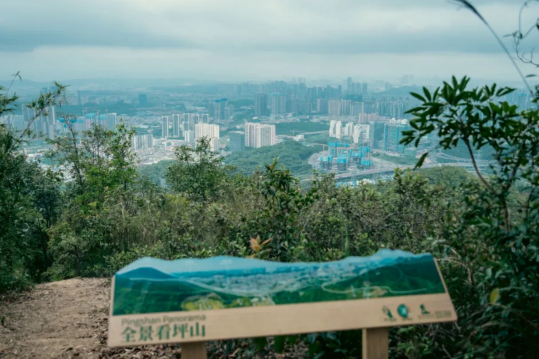 宠粉！万桥计划×坪山大剧院跨界联动，与“猫神”一起“手”护坪山！ - 6