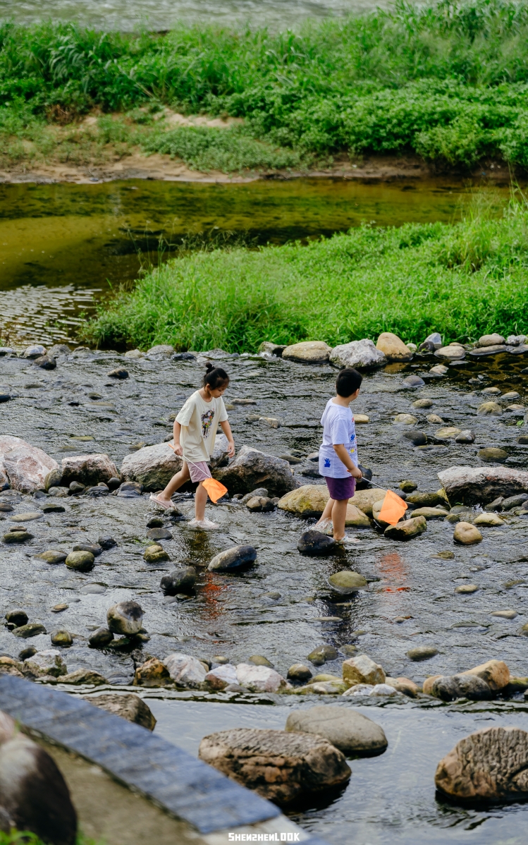 坪山河湿地公园——宫崎骏的夏天，深圳真有啊！ - 9