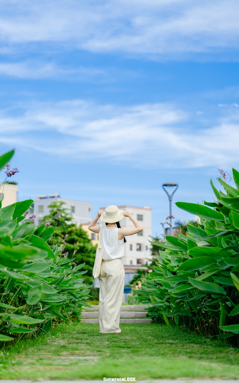 坪山河湿地公园——宫崎骏的夏天，深圳真有啊！ - 20