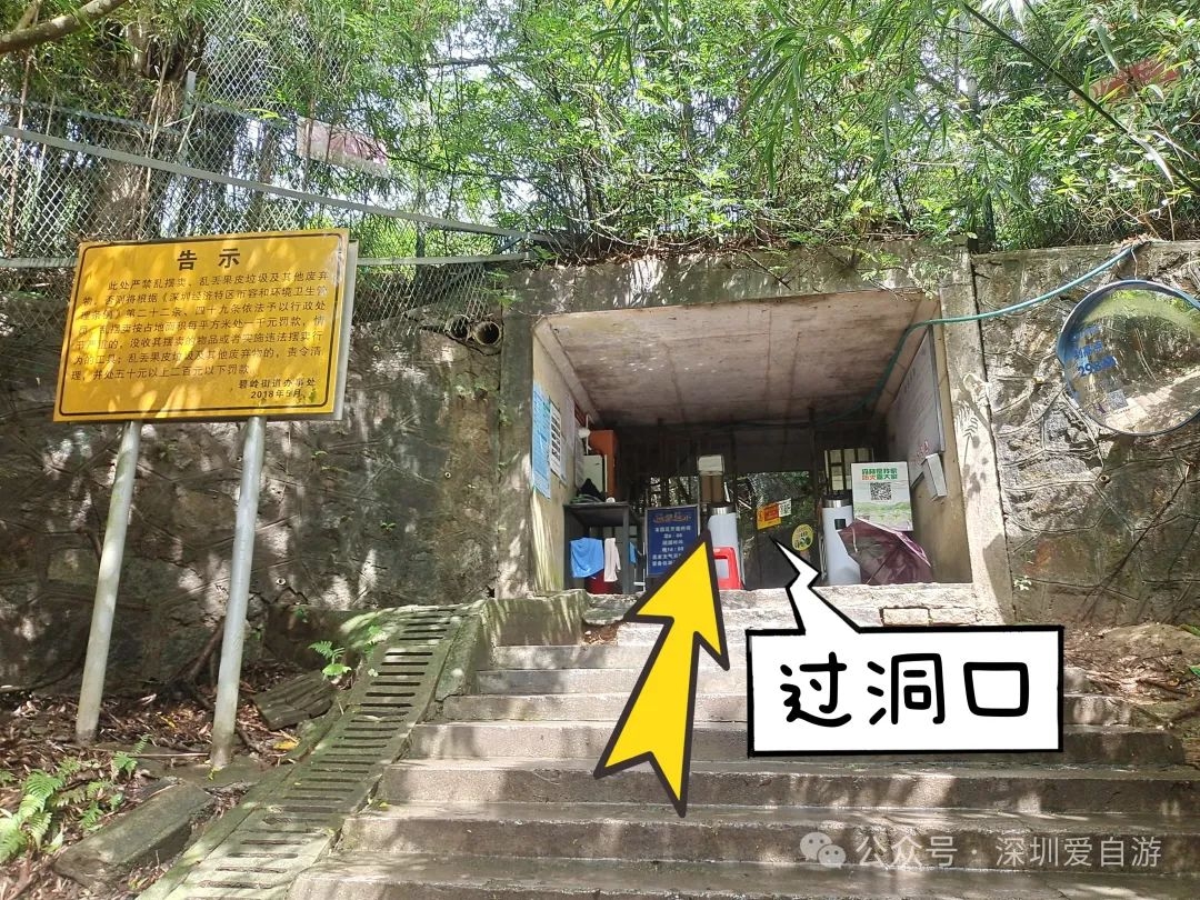 马峦山祈福线路：碧岭瀑布+大华兴寺徒步攻略 - 31