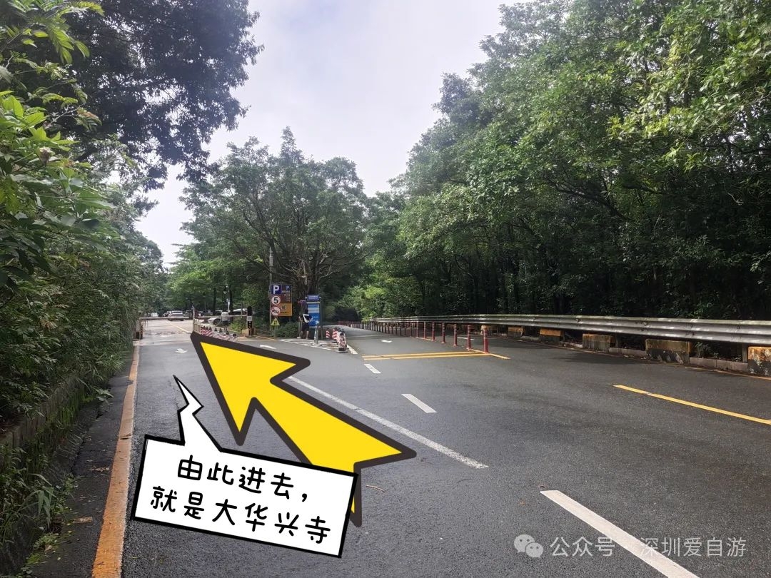 马峦山祈福线路：碧岭瀑布+大华兴寺徒步攻略 - 50