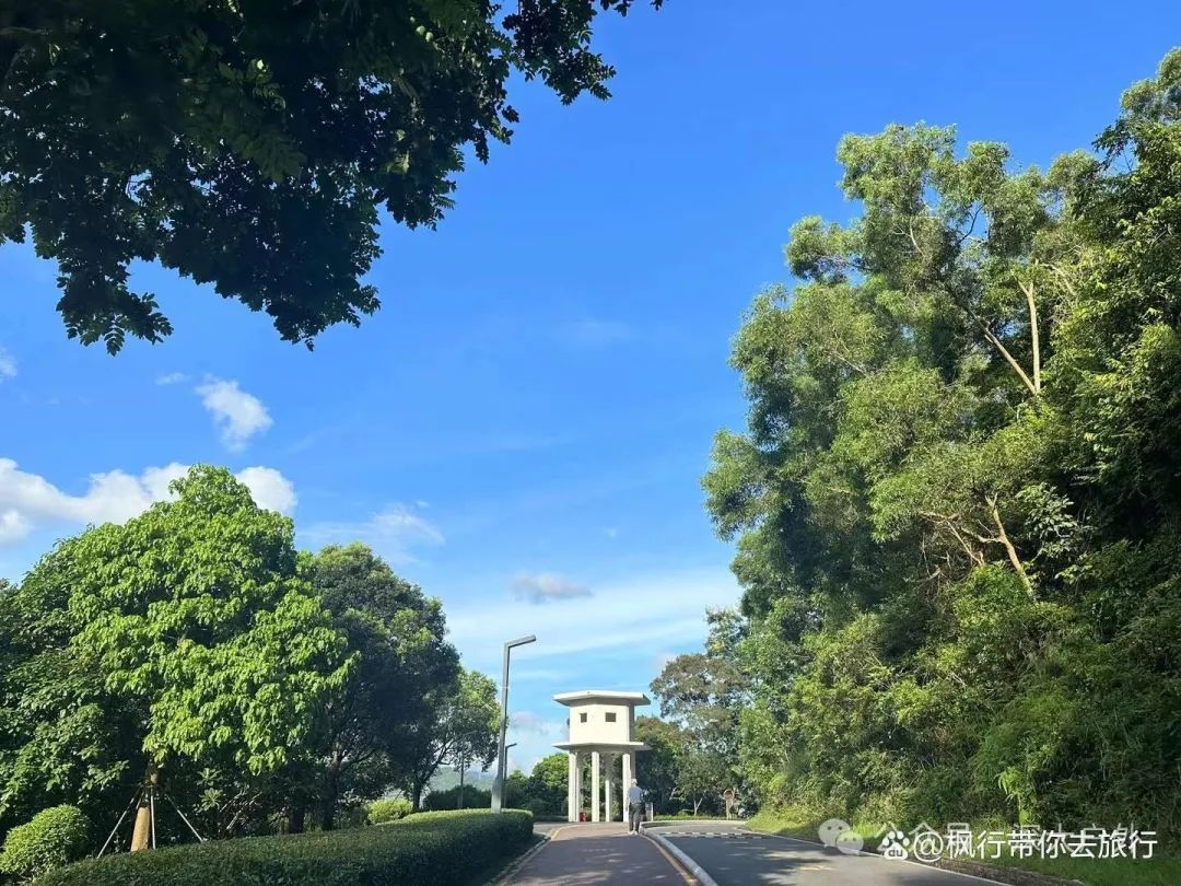 深圳坪山一日游，惊艳了时光，温柔了岁月！ - 1