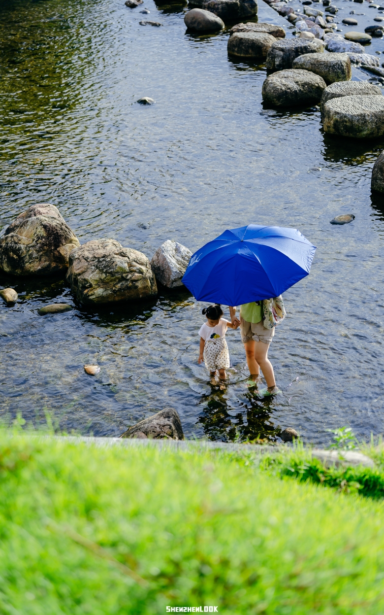 坪山河湿地公园——宫崎骏的夏天，深圳真有啊！ - 10