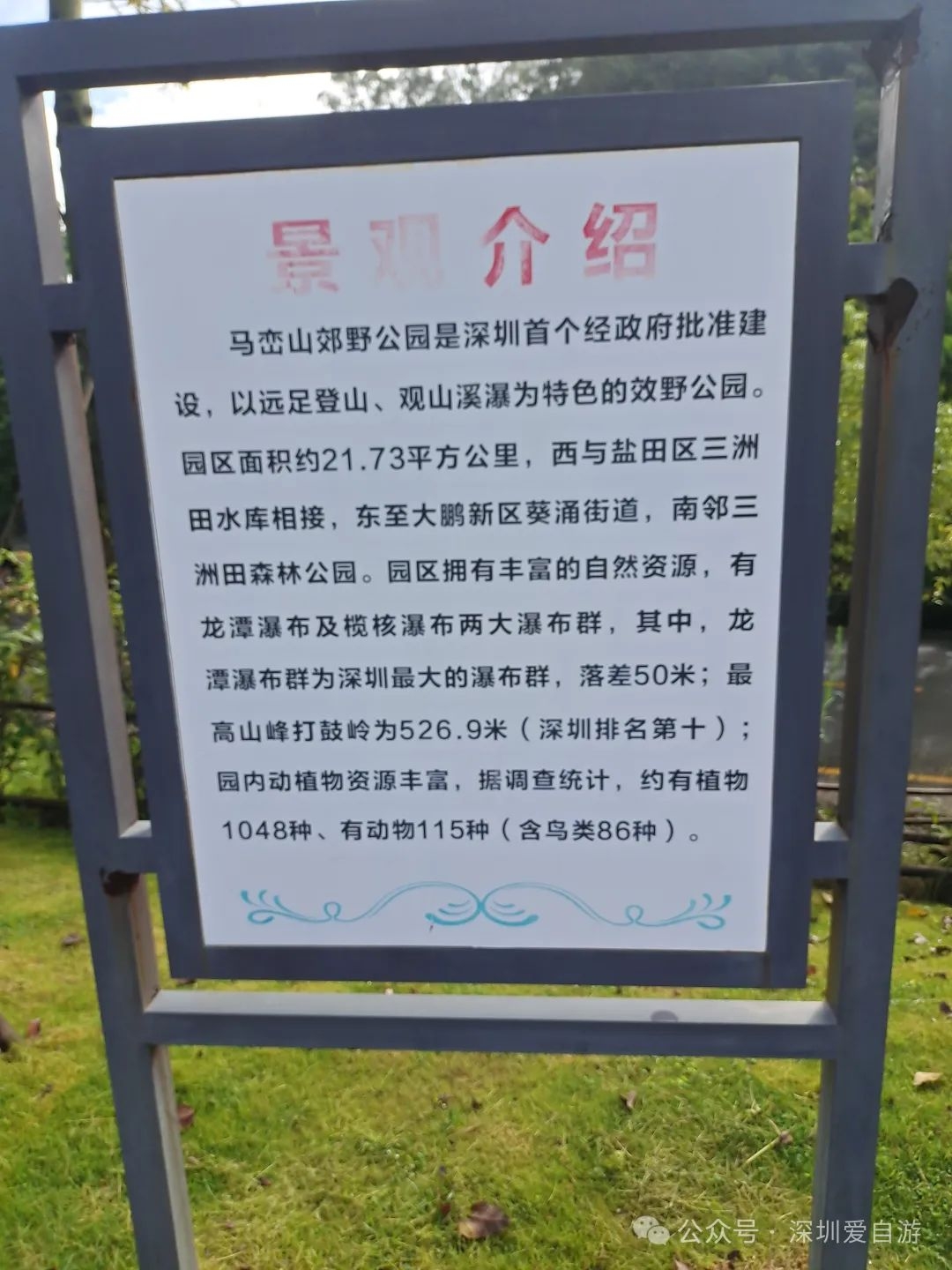 马峦山祈福线路：碧岭瀑布+大华兴寺徒步攻略 - 