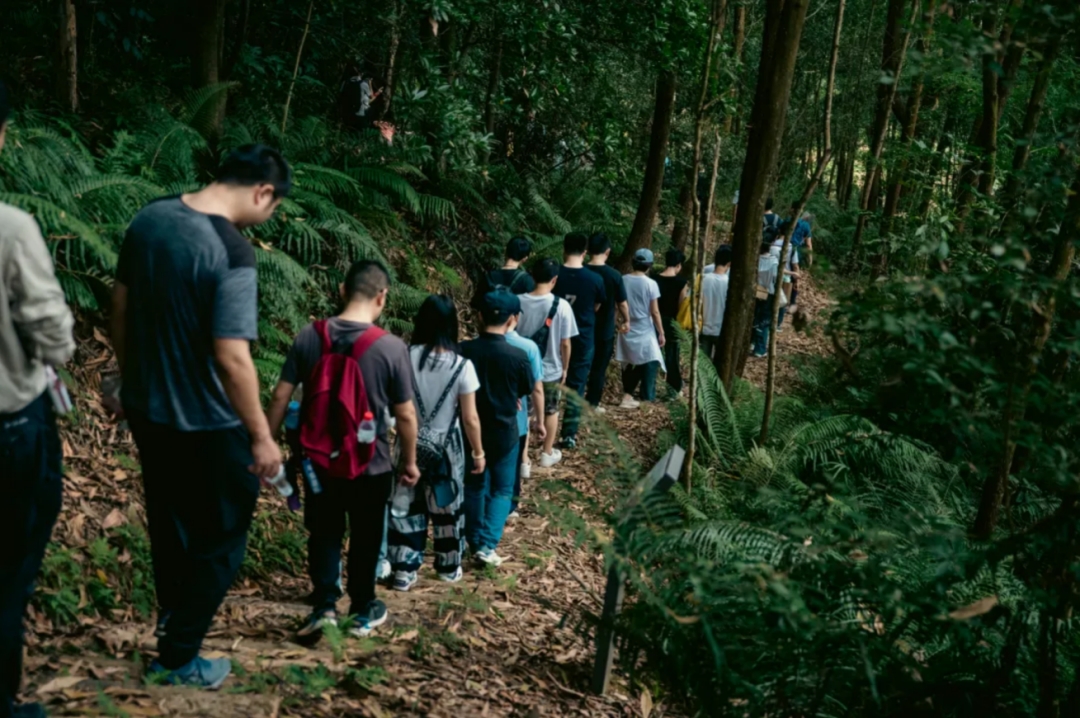 宠粉！万桥计划×坪山大剧院跨界联动，与“猫神”一起“手”护坪山！ - 5