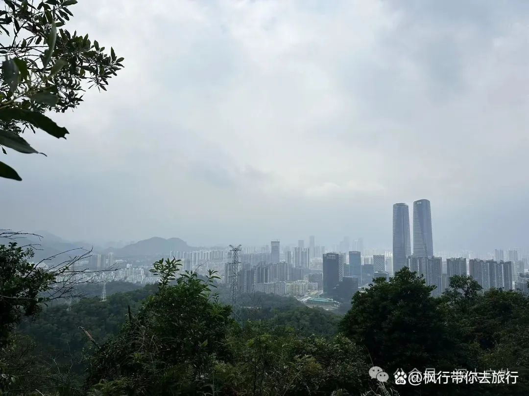 深圳坪山一日游，惊艳了时光，温柔了岁月！ - 