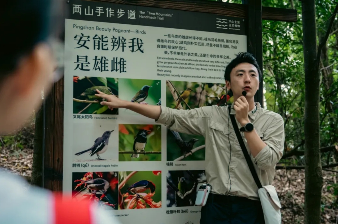 宠粉！万桥计划×坪山大剧院跨界联动，与“猫神”一起“手”护坪山！ - 3