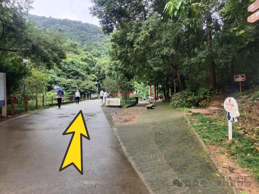 马峦山祈福线路：碧岭瀑布+大华兴寺徒步攻略 - 22