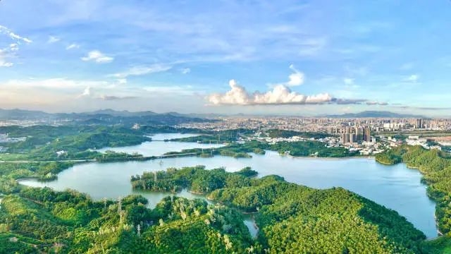 “关键一招”的深圳坪山实践 - 