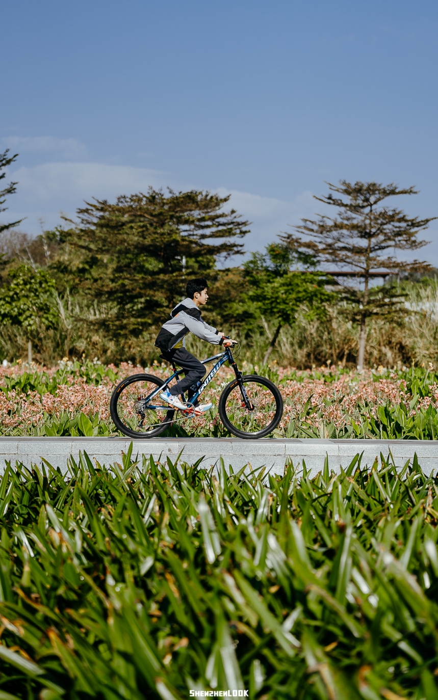 坪山河湿地公园——宫崎骏的夏天，深圳真有啊！ - 22