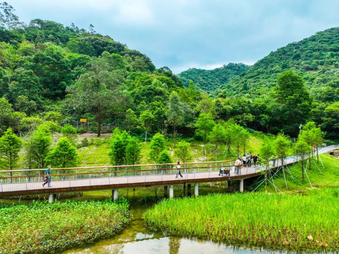 坪山金秋文旅季｜快来打卡路线领取专属福利！ - 17