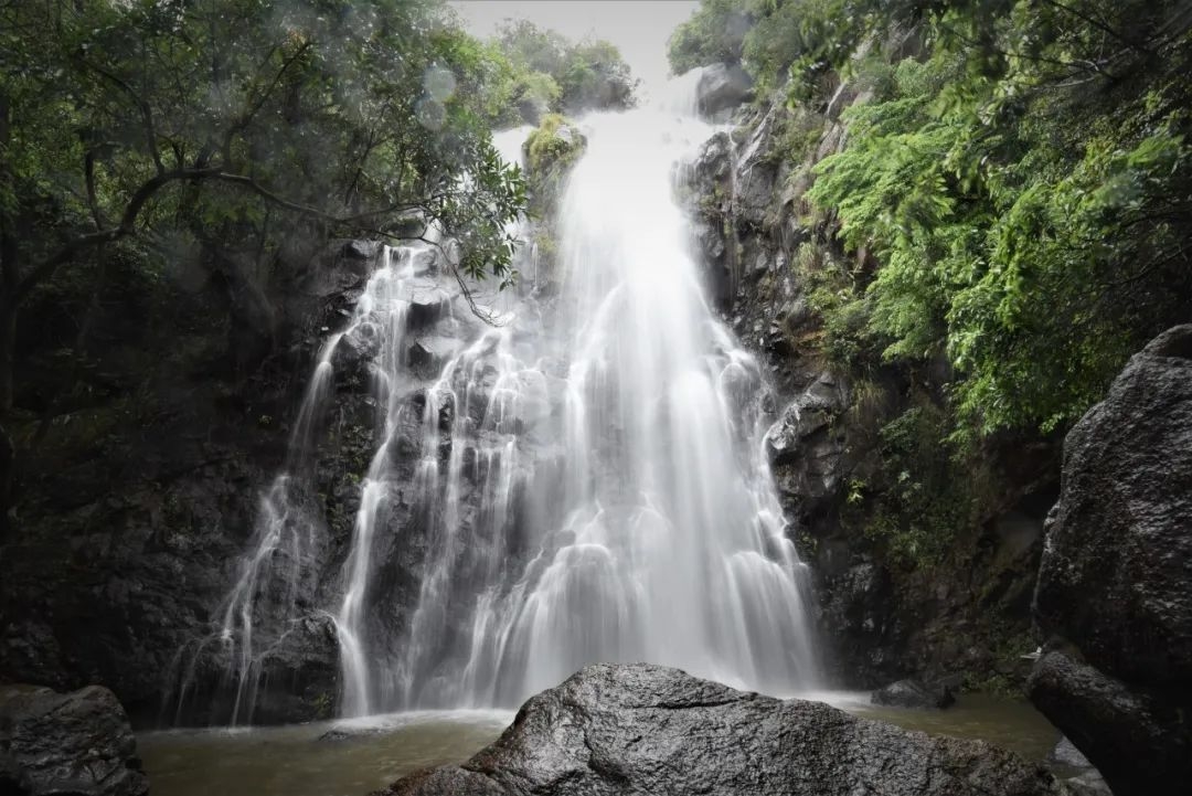 登高！坪山“老”好了！ - 2