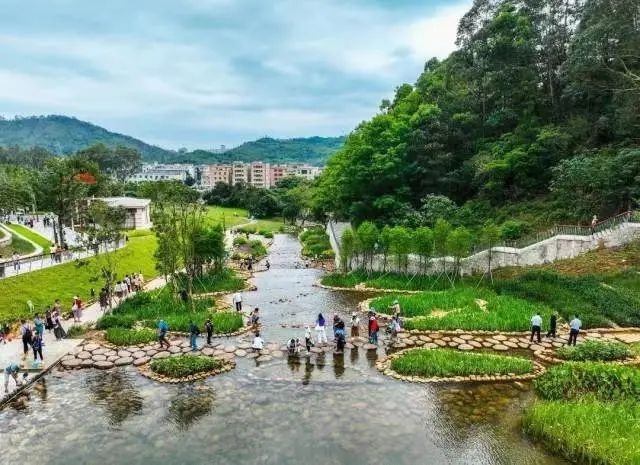 微短剧+文旅，深圳坪山get到了流量密码 - 5