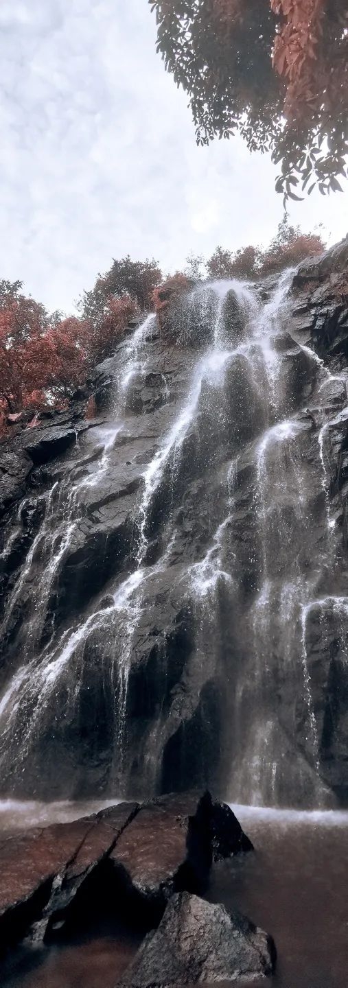 登高！坪山“老”好了！ - 18