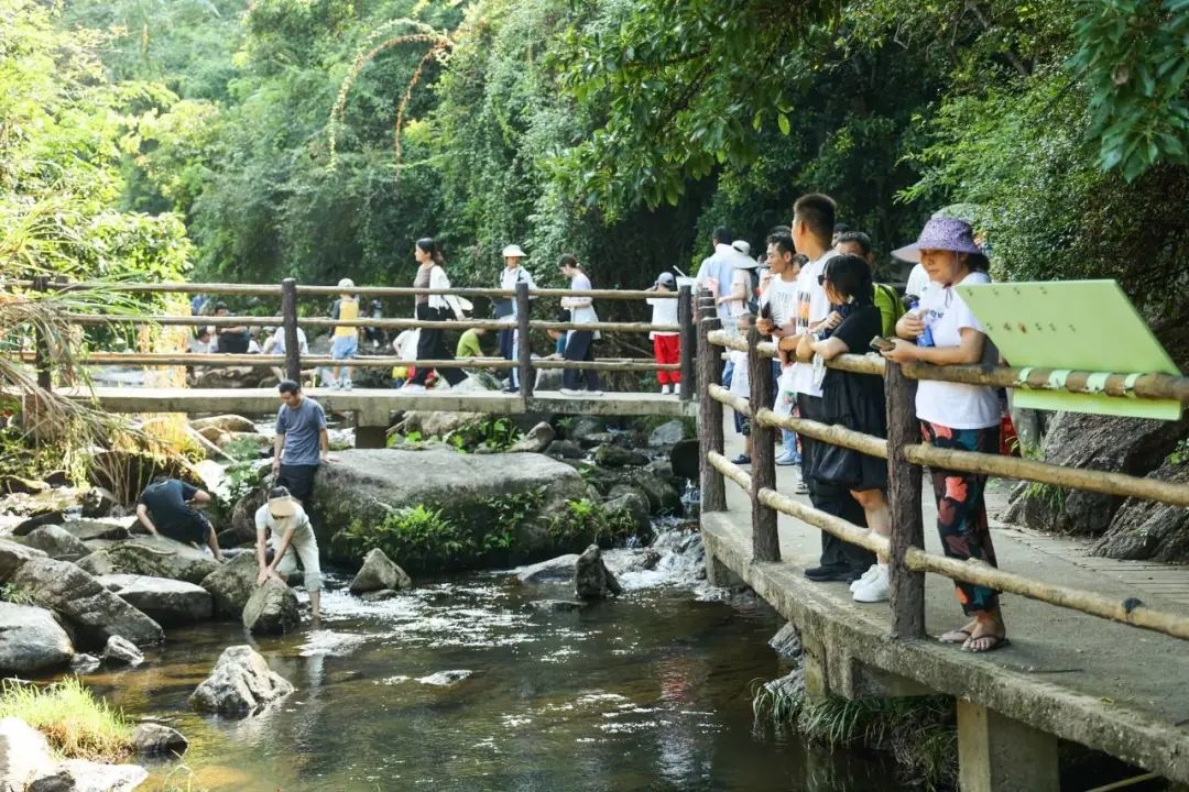 登高！坪山“老”好了！ - 9