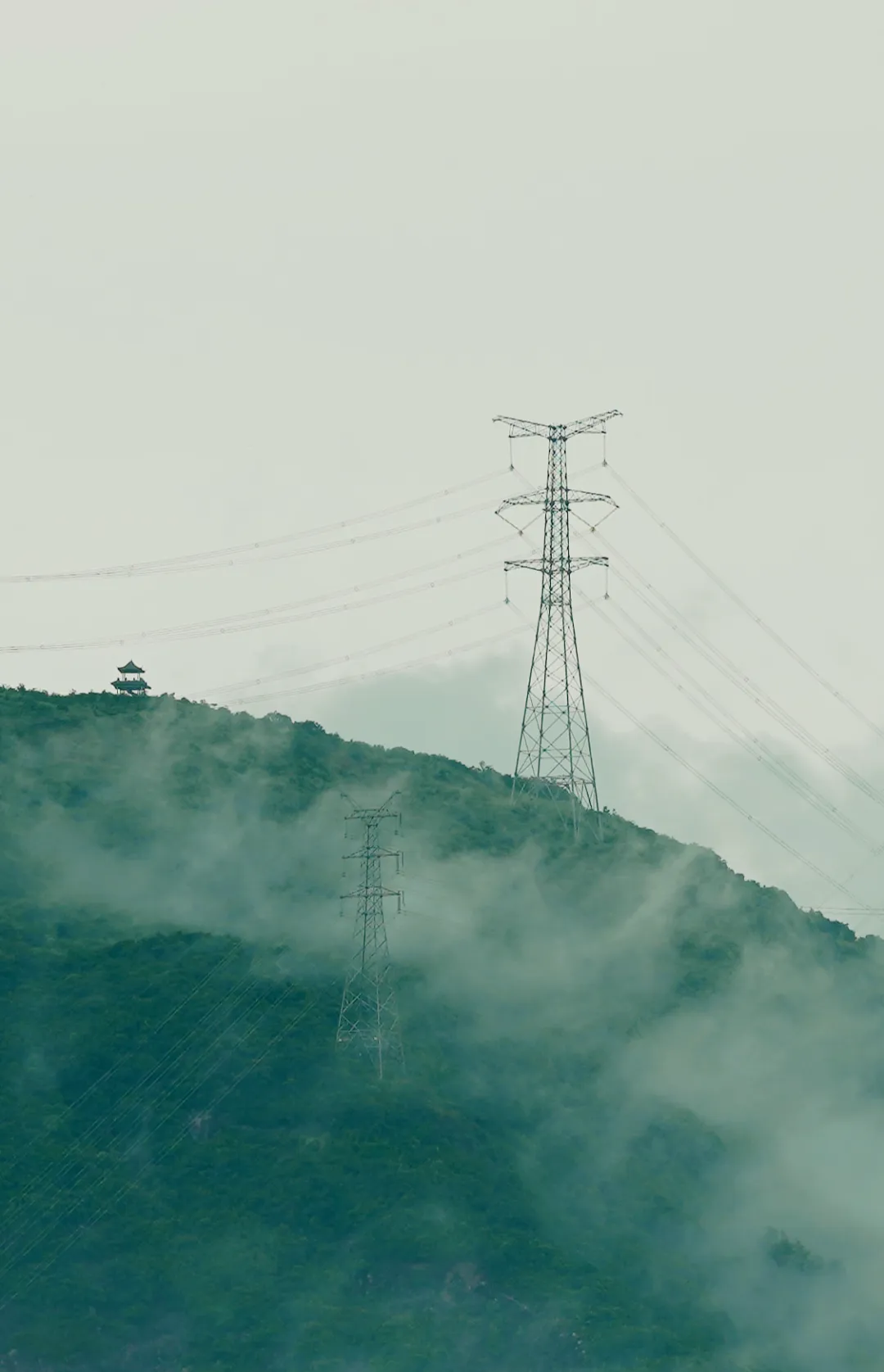 夏雨·坪山·闲看→仙儿了 - 1