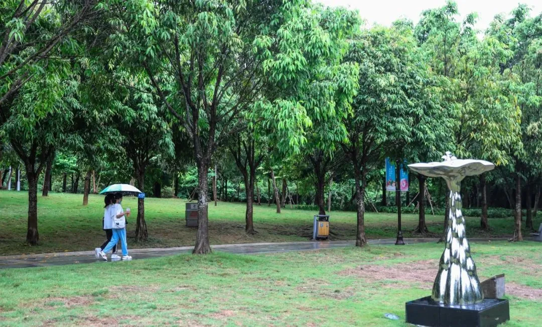 夏雨·坪山·闲看→仙儿了 - 2