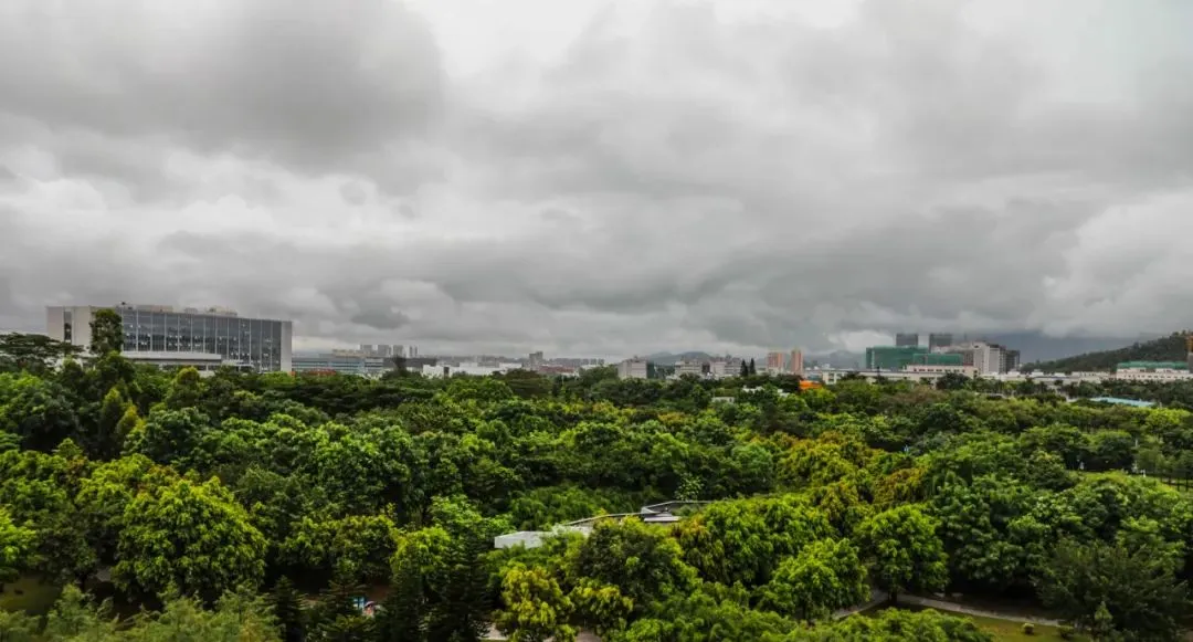 夏雨·坪山·闲看→仙儿了 - 